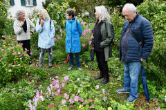 Gartenbesuch x.jpg