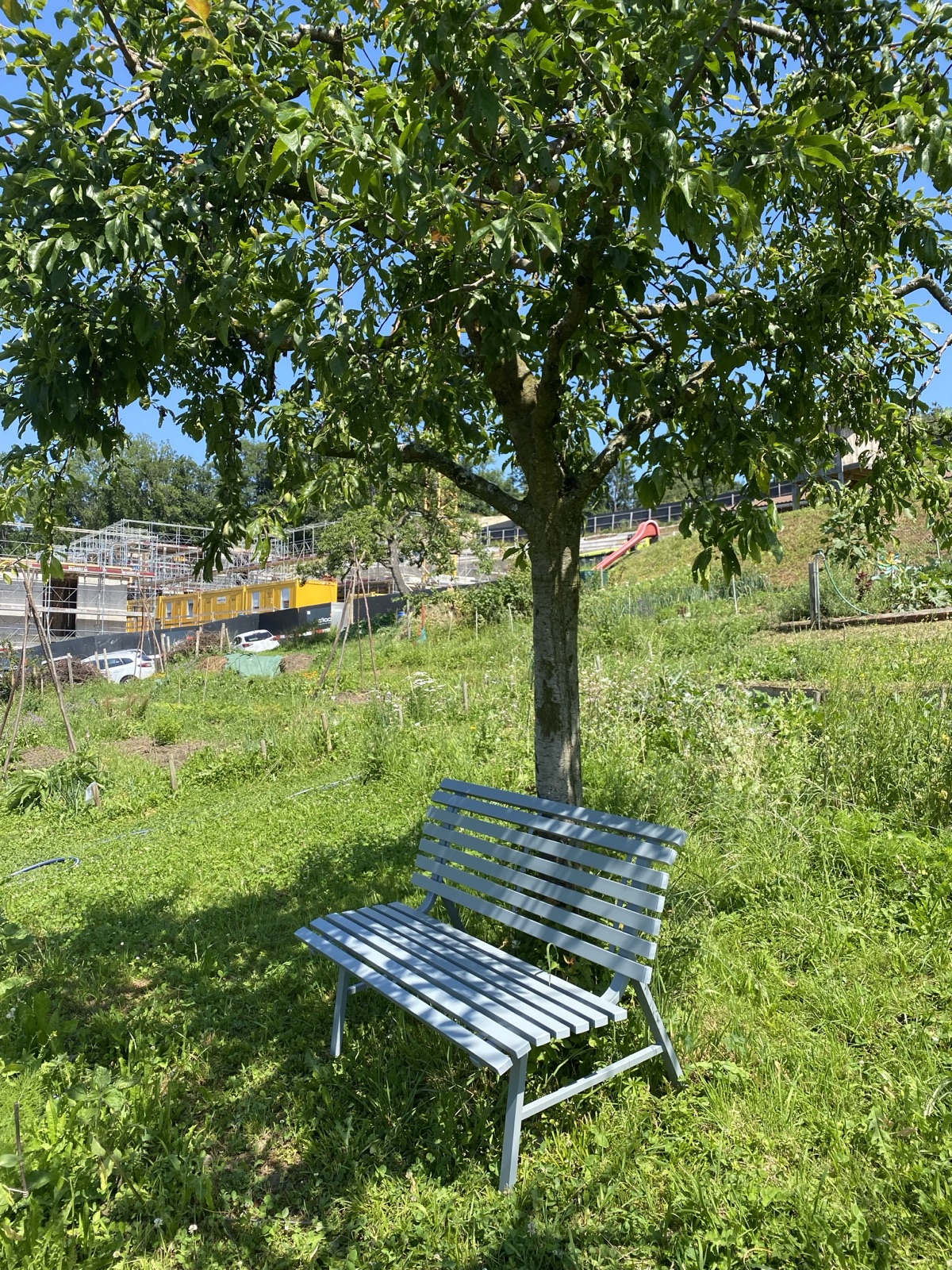 Plauderbänkli.jpeg Plauderbänkli.jpeg