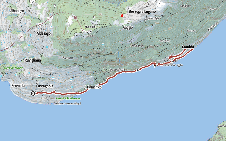 Olive-Gandria (1).png