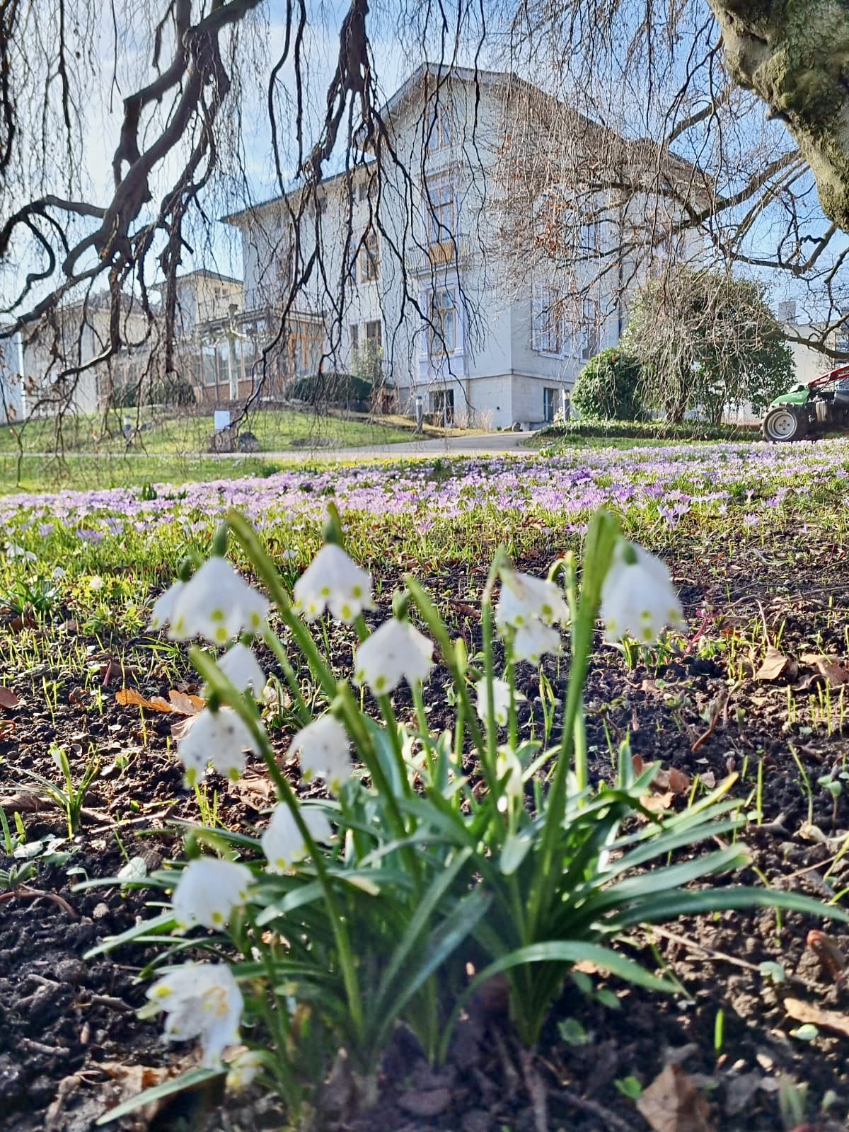 Villa im Frühling.jpeg