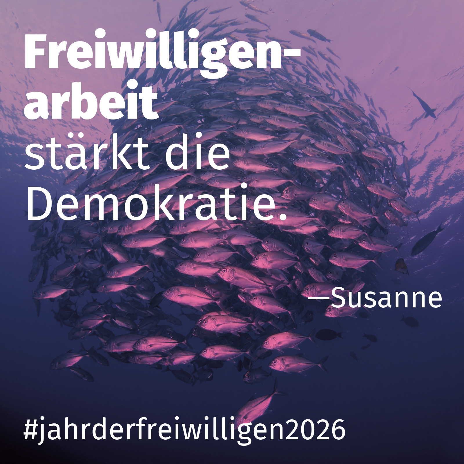 stärkt die Demokratie.