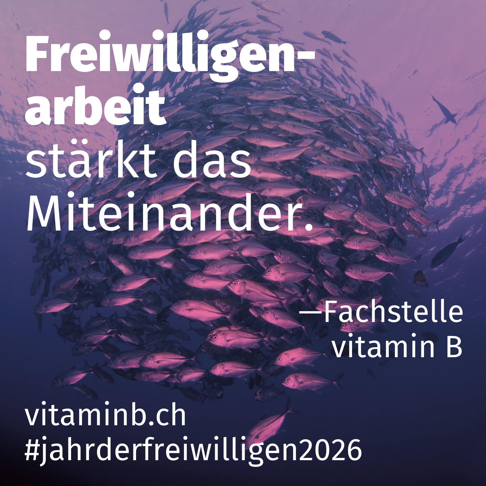 stärkt das Miteinander.