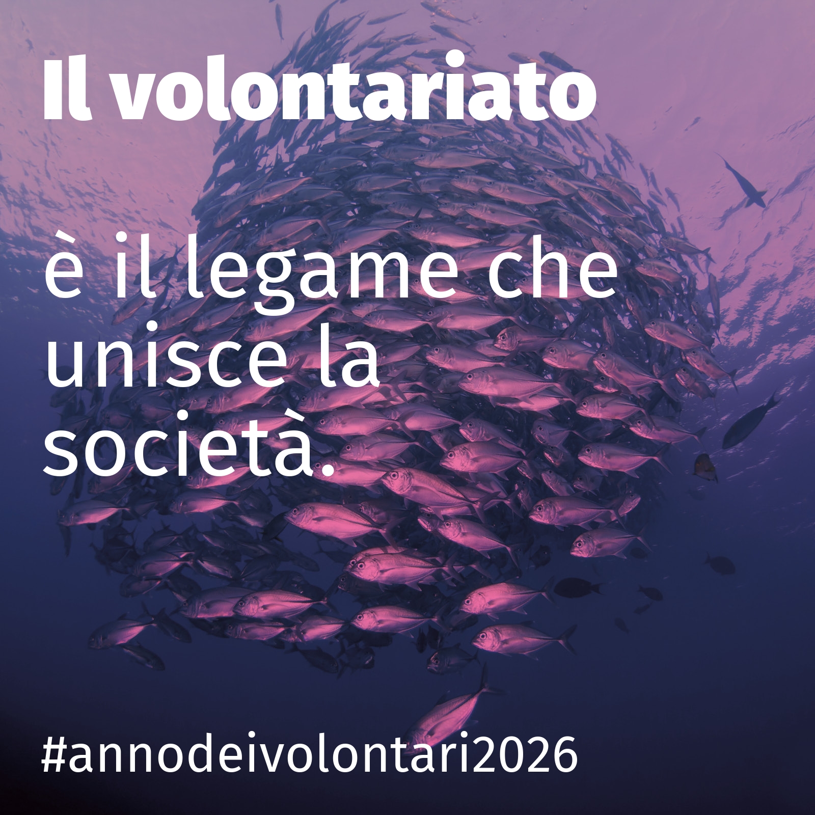 è il legame che unisce la società.