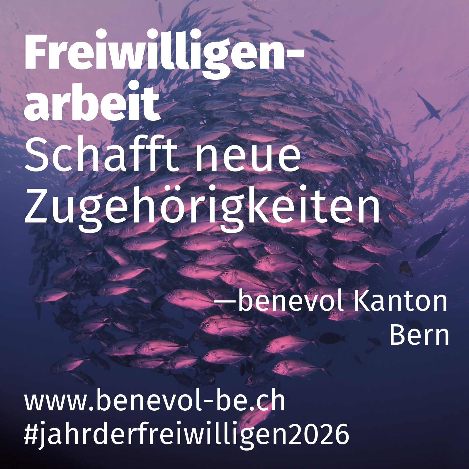 Schafft neue Zugehörigkeiten