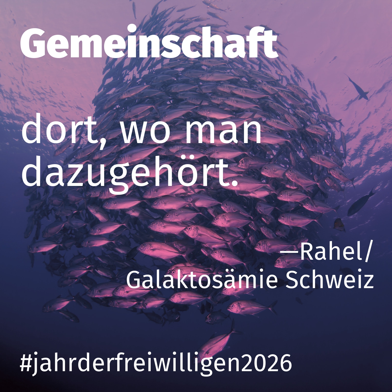 dort, wo man dazugehört.