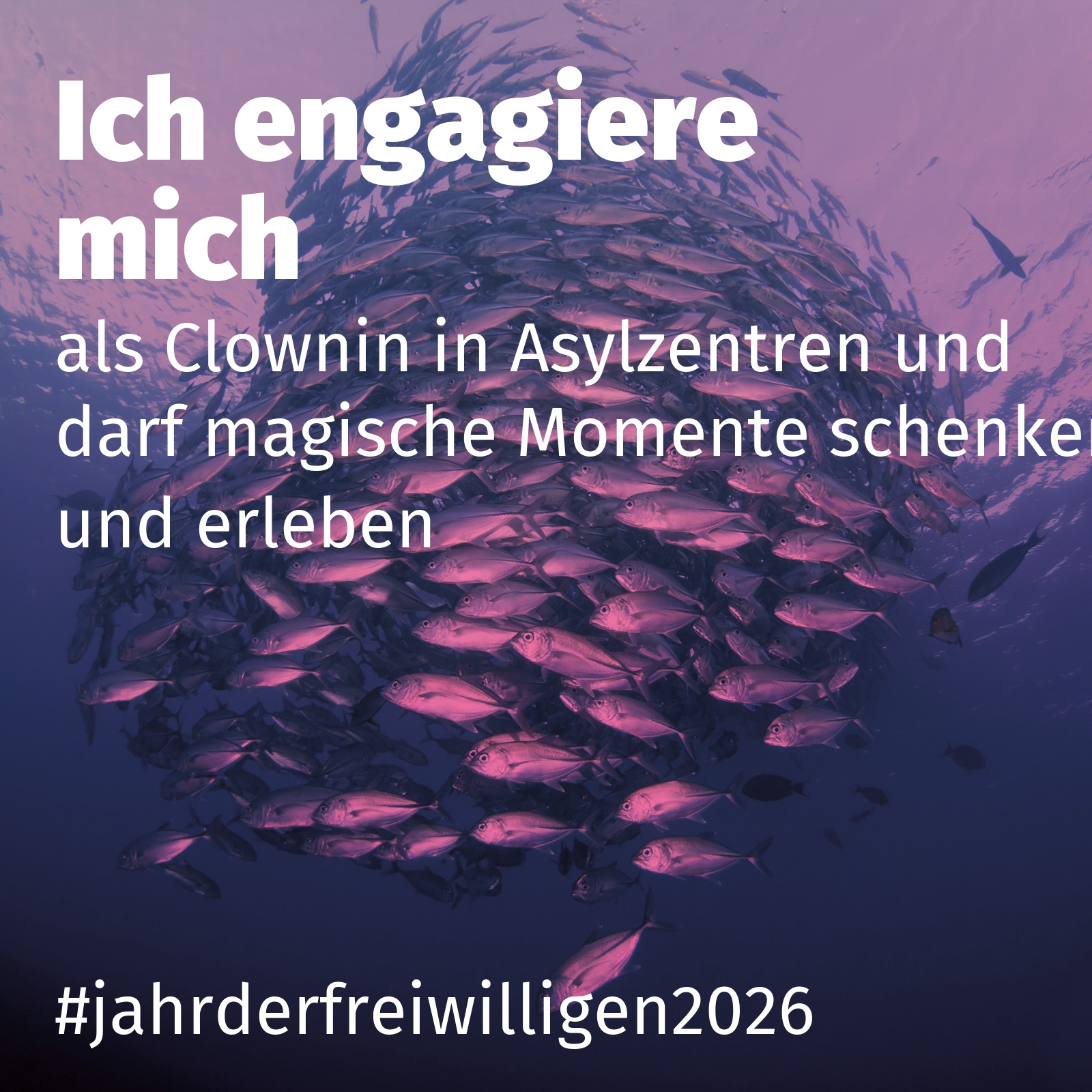 als Clownin in Asylzentren und darf magische Momente schenken und erleben