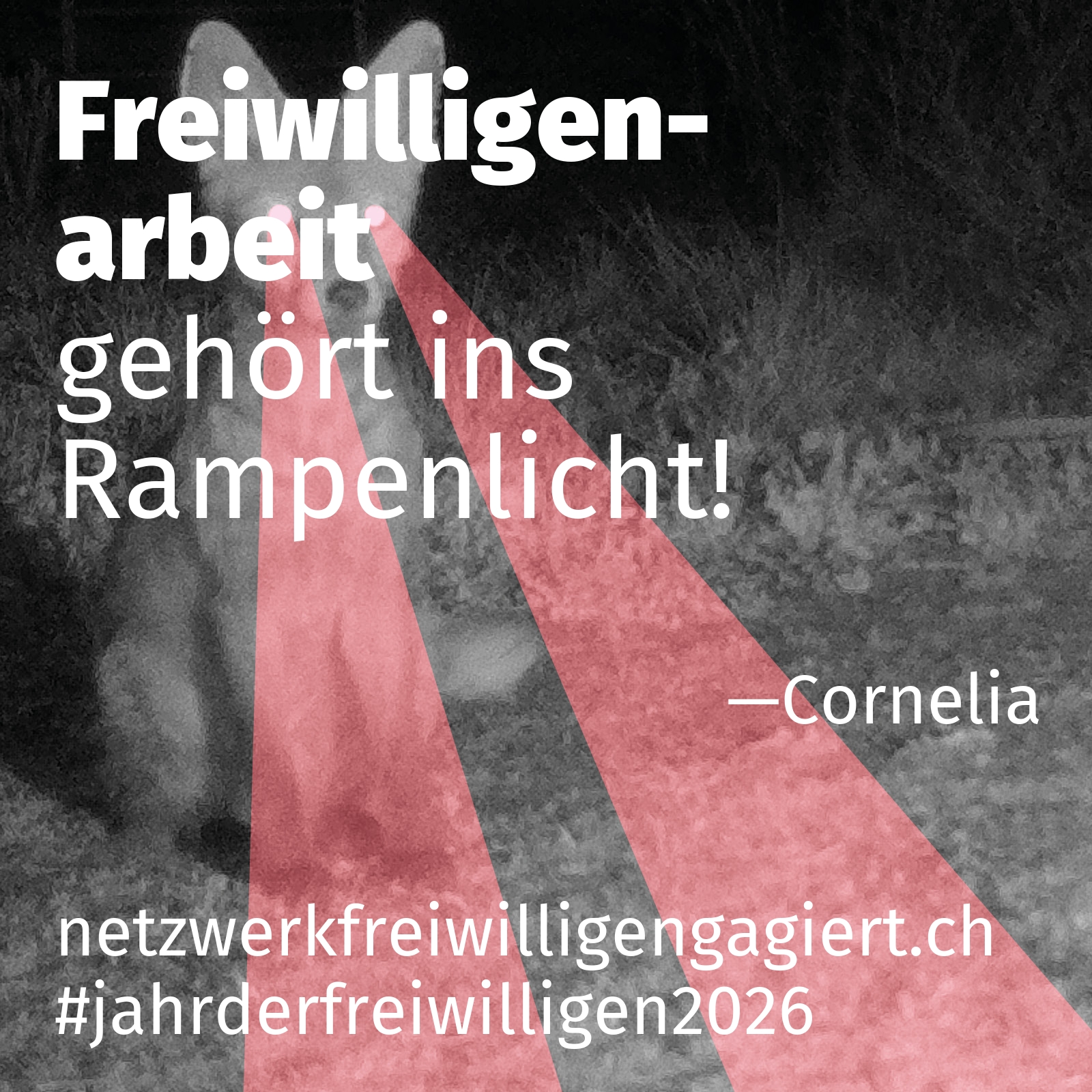 gehört ins Rampenlicht.