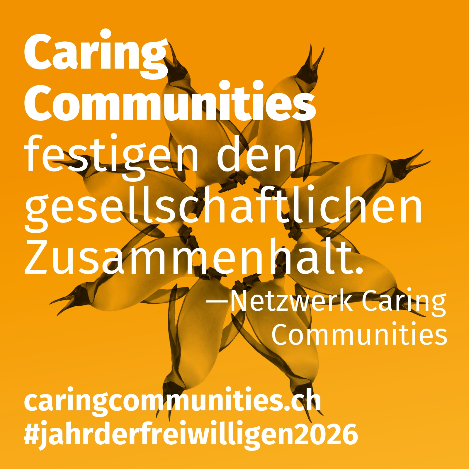 festigen den gesellschaftlichen Zusammenhalt.