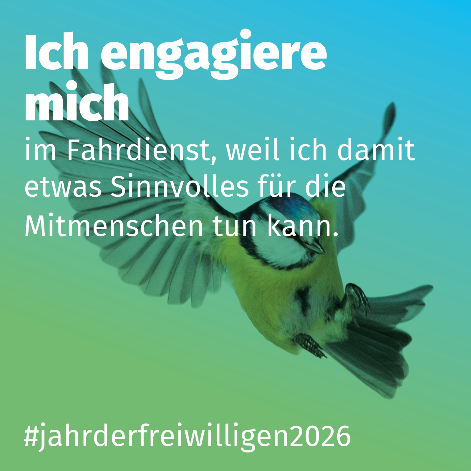 im Fahrdienst, weil ich damit etwas Sinnvolles für die Mitmenschen tun kann.