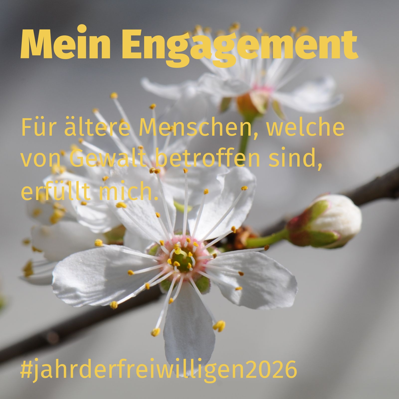Für ältere Menschen, welche von Gewalt betroffen sind, erfüllt mich.