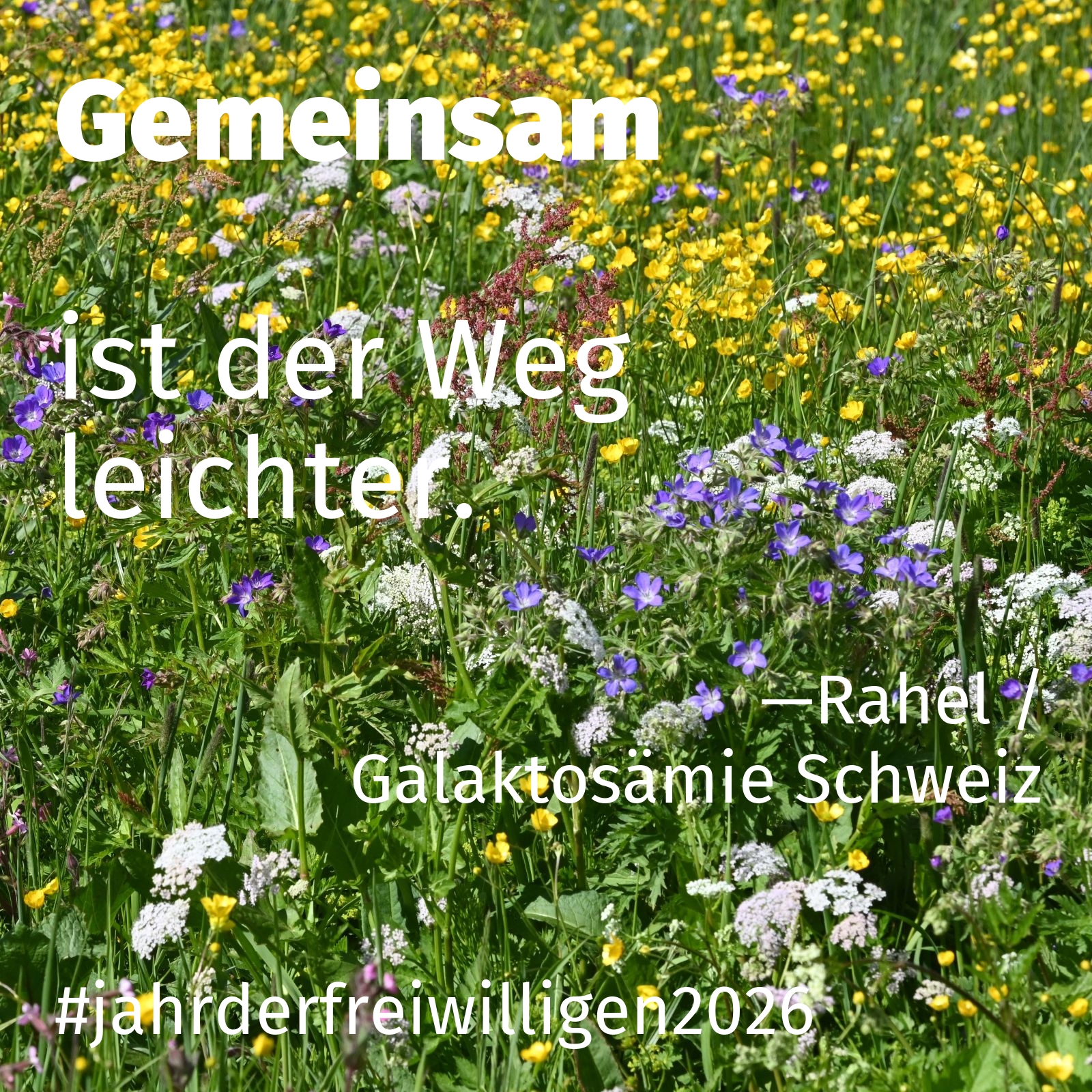 ist der Weg leichter.