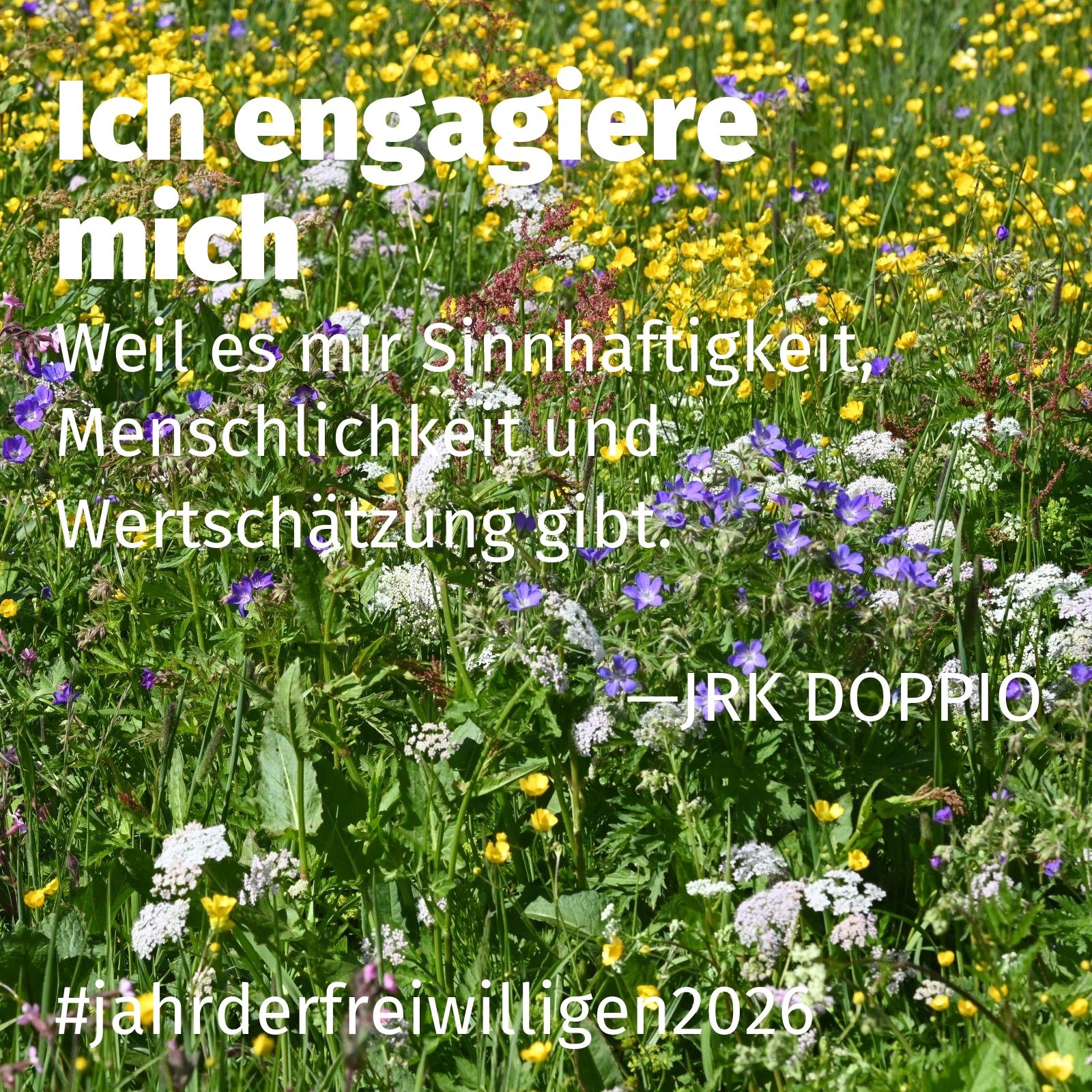 Weil es mir Sinnhaftigkeit, Menschlichkeit und Wertschätzung gibt.