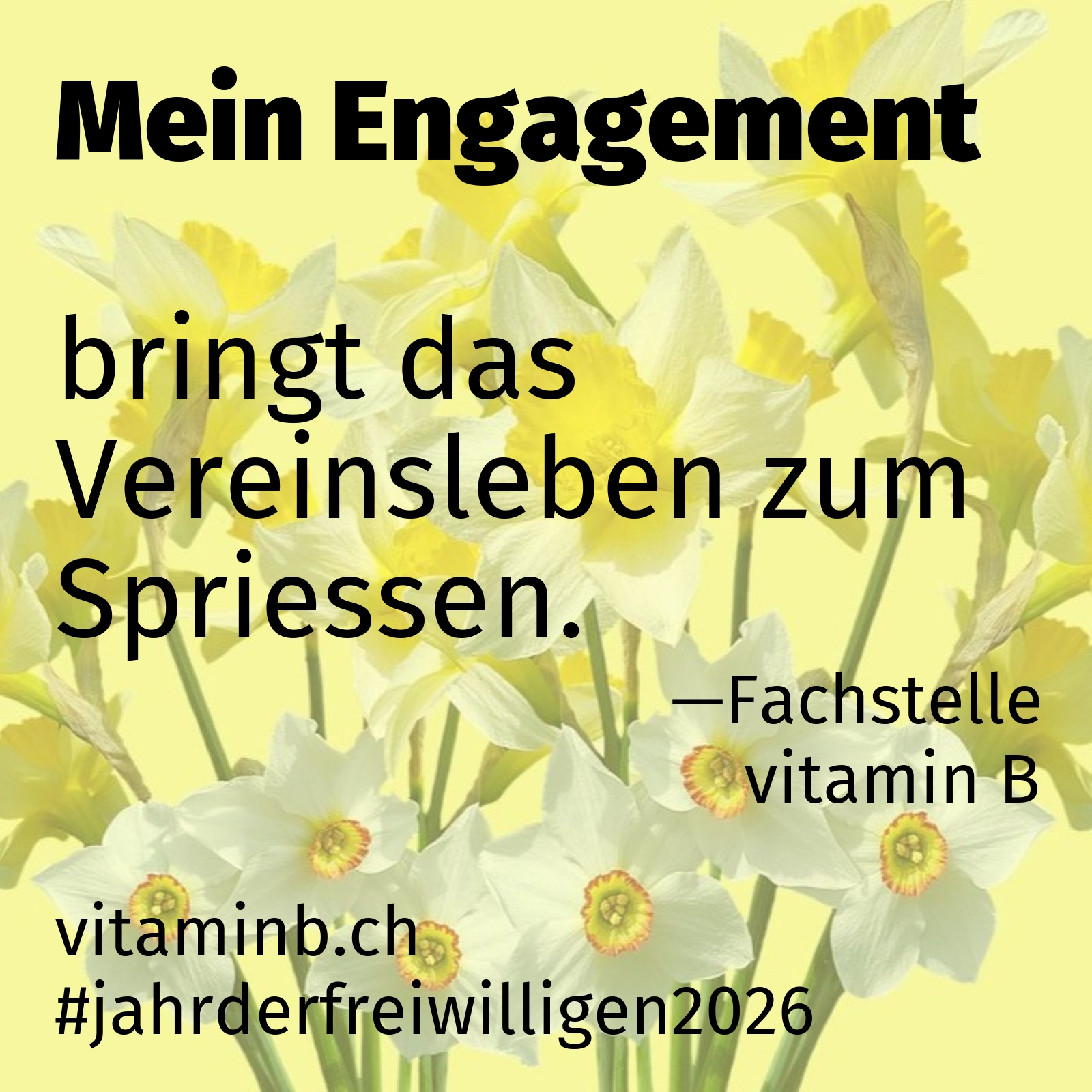 bringt das Vereinsleben zum Spriessen.