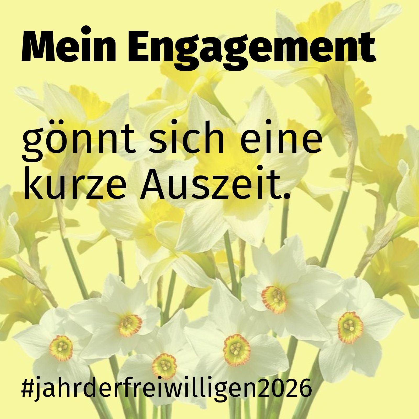 gönnt sich eine kurze Auszeit.